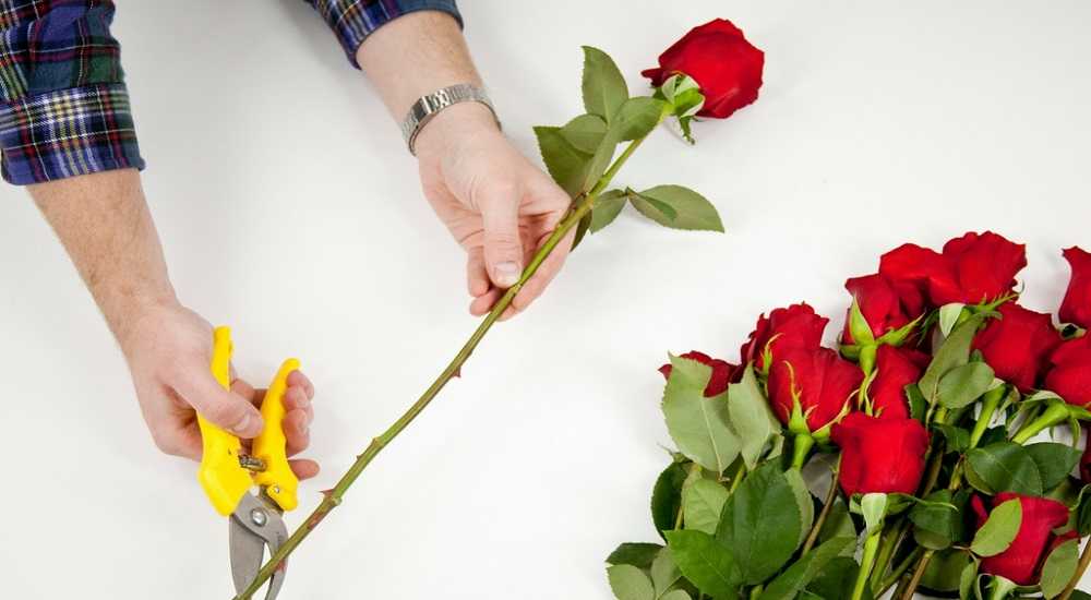 Як зберегти свіжість троянд
